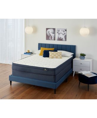 Serta - Calming Haven 9.5" Medium Eurotop Mattress- Twin