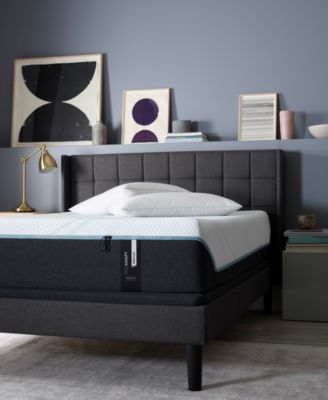 Tempur-Pedic - TEMPUR-ProAdapt 12" Medium Mattress Set- Twin XL