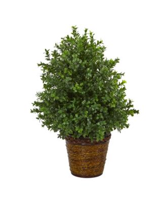 Nearly Natural - 23" Sweet Grass Artificial Plant in Basket Indoor/Outdoor