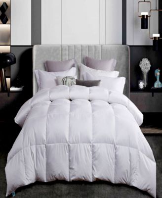 Martha Stewart Collection