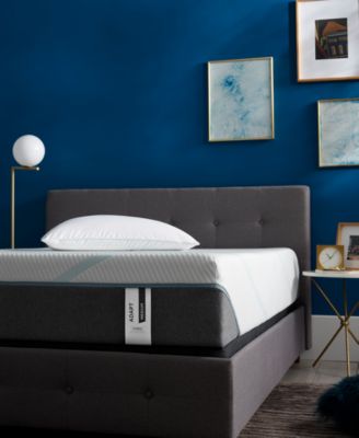 Tempur-Pedic - TEMPUR-Adapt 11" Medium Hybrid Mattress Set- Twin