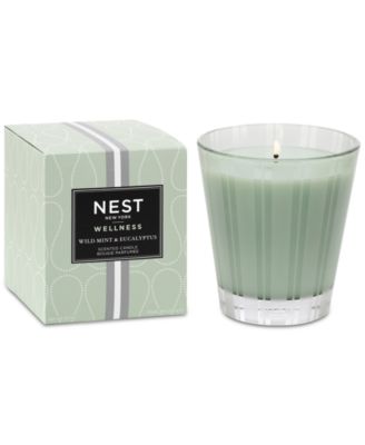 NEST New York - Wild Mint & Eucalyptus Classic Candle, 8.1 oz.