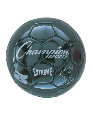 Champion Sports
