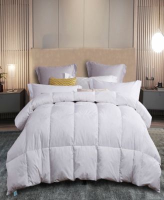 Martha Stewart Collection