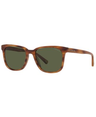 COACH - Sunglasses, HC8313U 54 C2095