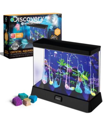 Discovery #MINDBLOWN