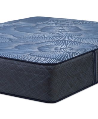Serta - Perfect Sleeper Euphoric Nights 14" Plush Hybrid Mattress Set, Twin XL